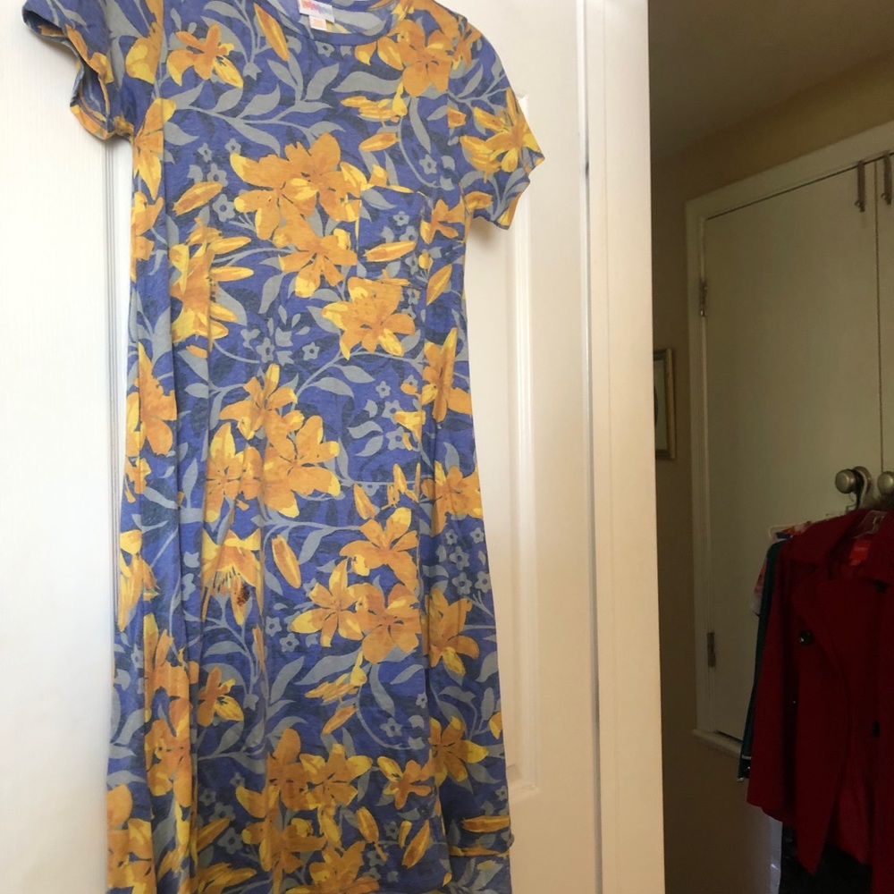 LuLaRoe Carly dress/tunic